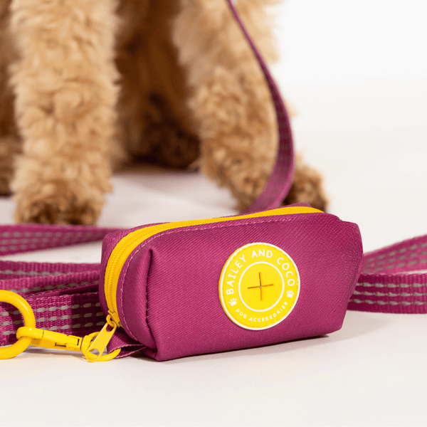 Dog Poop Bag Holder - COLOUR DROPS® - We're Jammin' - alternate view