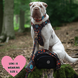 Dog Walking Bag - Black with Bewitched Strap - Bailey and Coco (UK)