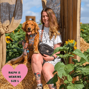 Dog Walking Bag - Black with Bewitched Strap - Bailey and Coco (UK)