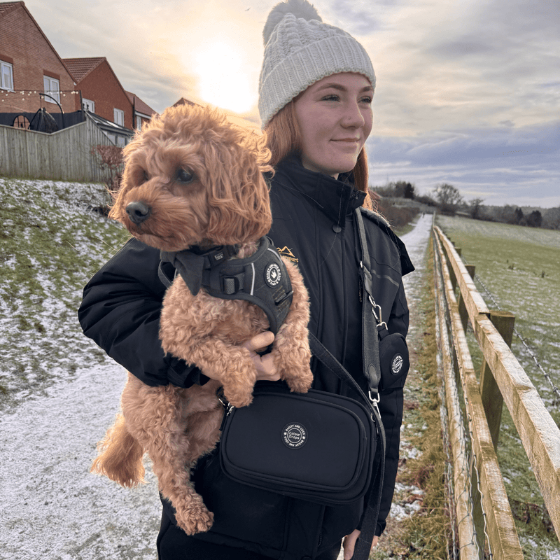 Dog Walking Bag - Black with Forest Tweed Strap - Bailey and Coco (UK)