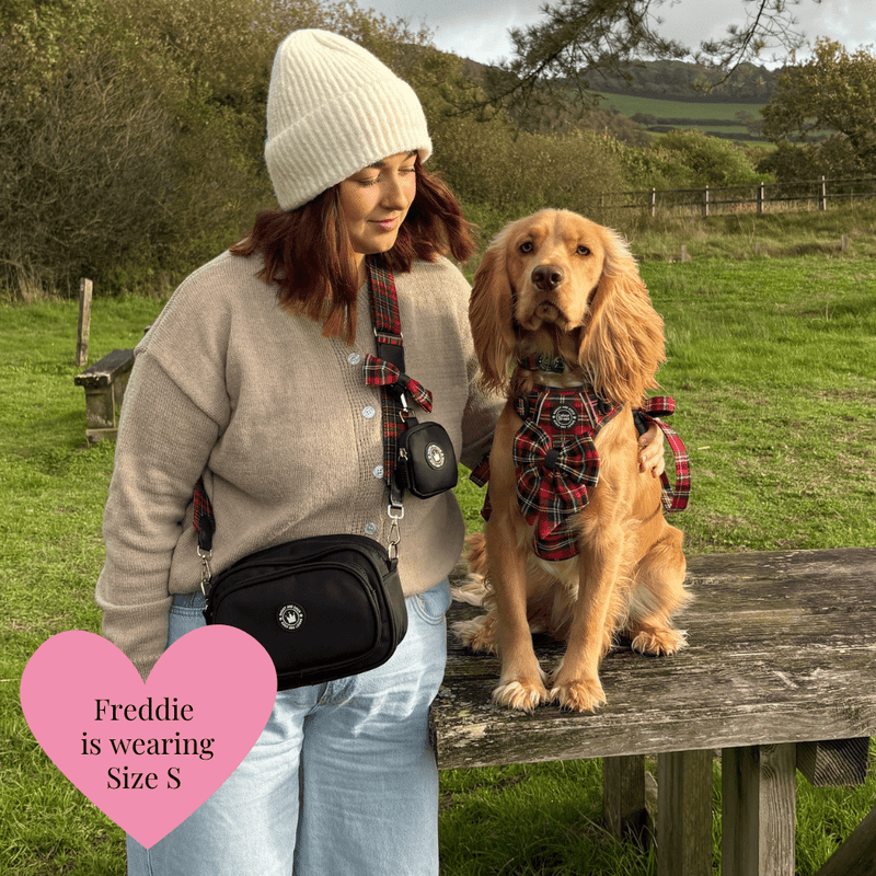 Dog Walking Bag - Black with Red Highland Tartan Strap - Bailey and Coco (UK)