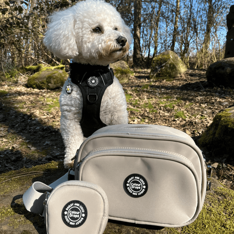 Dog Walking Bag - Latte with We're Jammin' Strap - Bailey and Coco (UK)