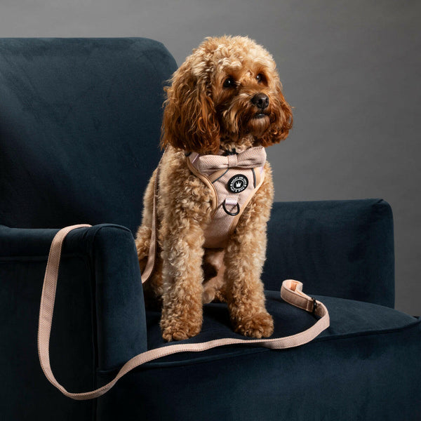 Fabric Dog Lead 5ft - Almond Tweed - alternate view