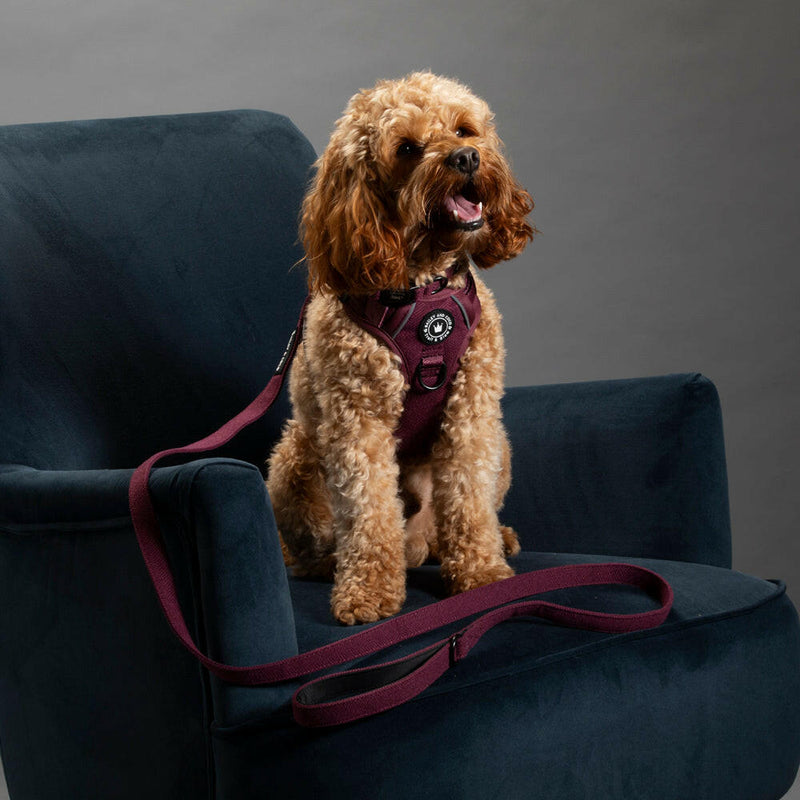 Fabric Dog Lead 5ft - Mulberry Tweed - Bailey and Coco (UK)