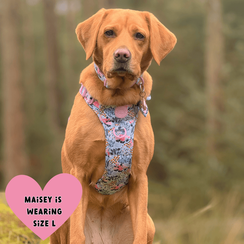 Floral Dog Harness - Colour Drops - Spring Dreams - Bailey and Coco (UK)