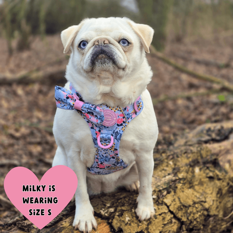 Floral Dog Harness - Colour Drops - Spring Dreams - Bailey and Coco (UK)