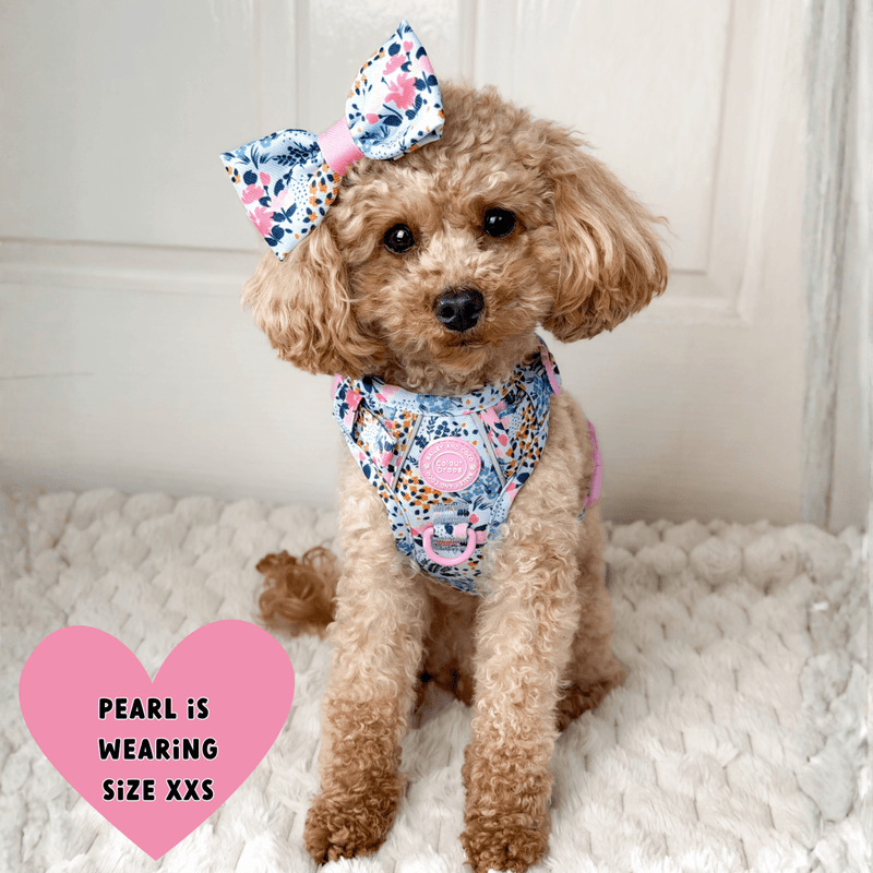 Floral Dog Harness - Colour Drops - Spring Dreams - Bailey and Coco (UK)