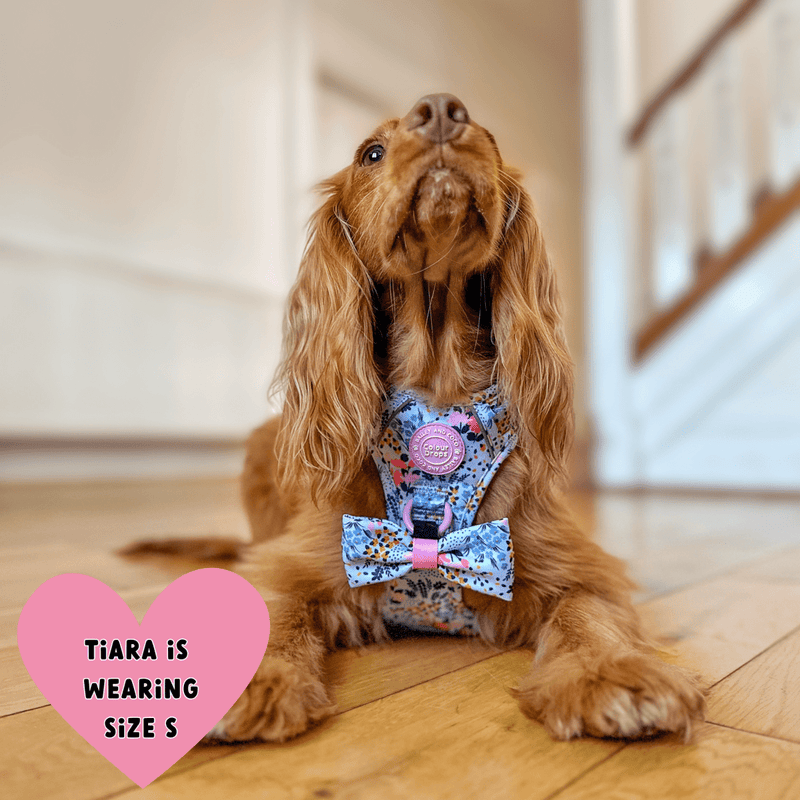 Floral Dog Harness - Colour Drops - Spring Dreams - Bailey and Coco (UK)