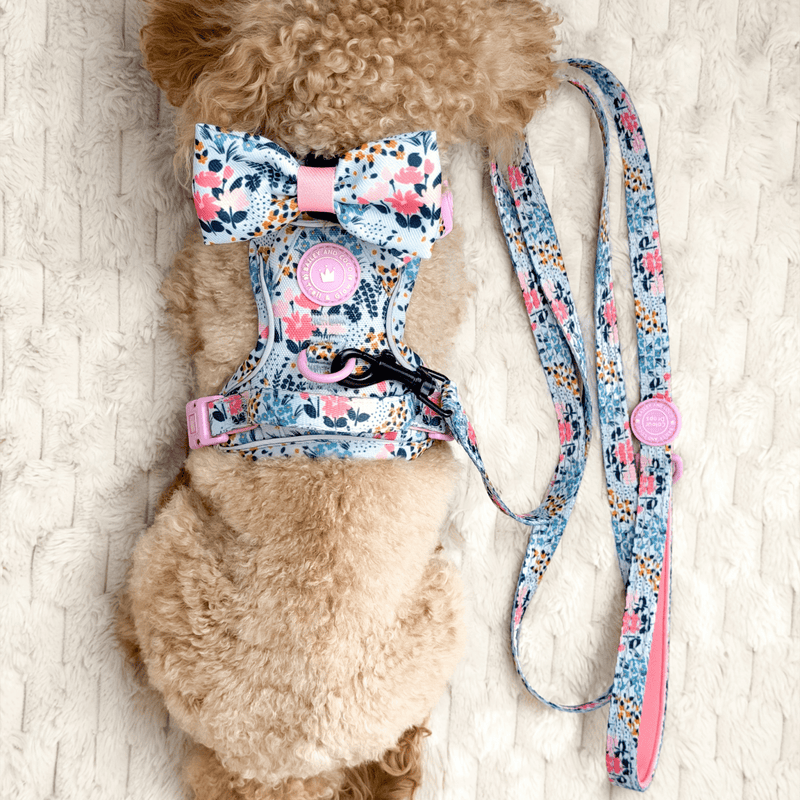 Floral Dog Harness - Colour Drops - Spring Dreams - Bailey and Coco (UK)