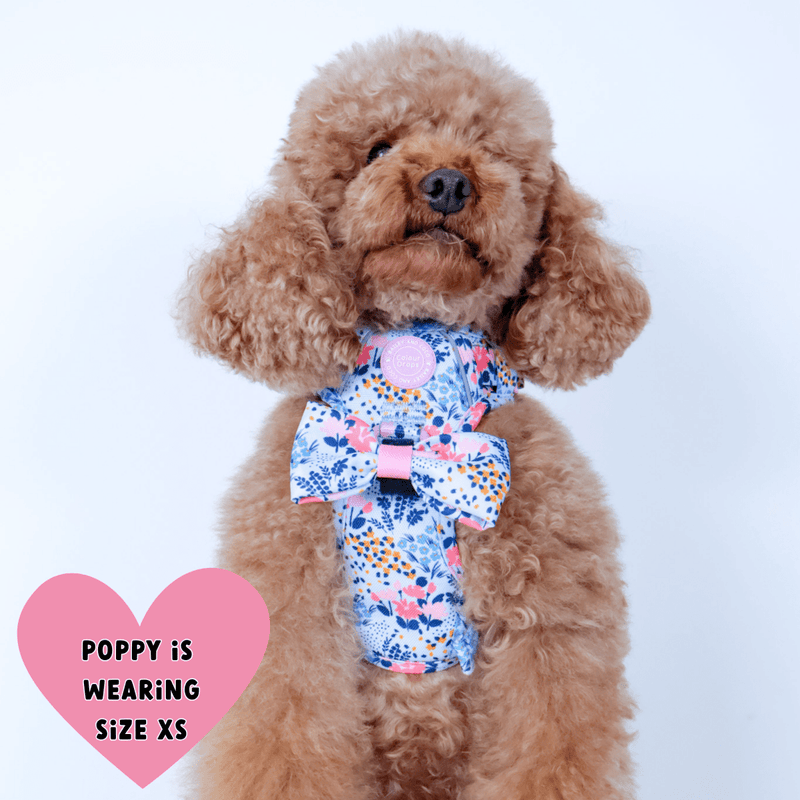 Floral Dog Harness - Colour Drops - Spring Dreams - Bailey and Coco (UK)