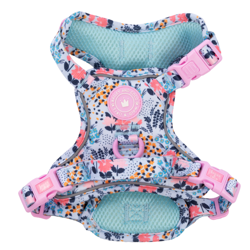 Floral Dog Harness - Colour Drops - Spring Dreams - Bailey and Coco (UK)