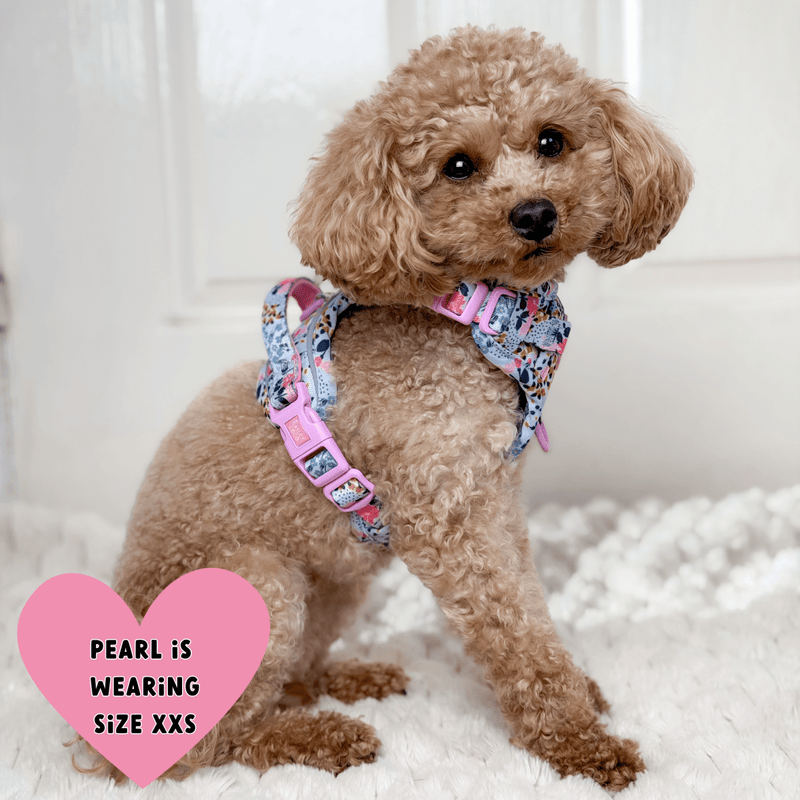 Floral Dog Harness - Colour Drops - Spring Dreams - Bailey and Coco (UK)