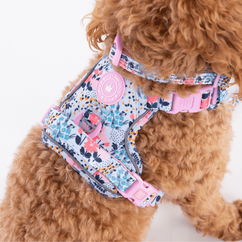 Floral Dog Harness - Colour Drops - Spring Dreams - Bailey and Coco (UK)