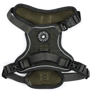 Forest Tweed Adjustable Dog Harness, Lead, Collar & Dog Walking Bag Bundle - Bailey and Coco (UK)