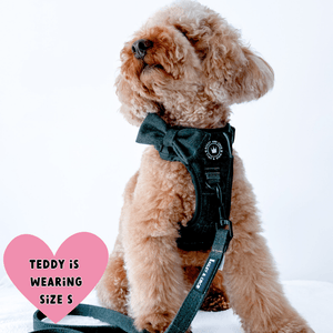 Forest Tweed Adjustable Dog Harness, Lead, Collar & Dog Walking Bag Bundle - Bailey and Coco (UK)