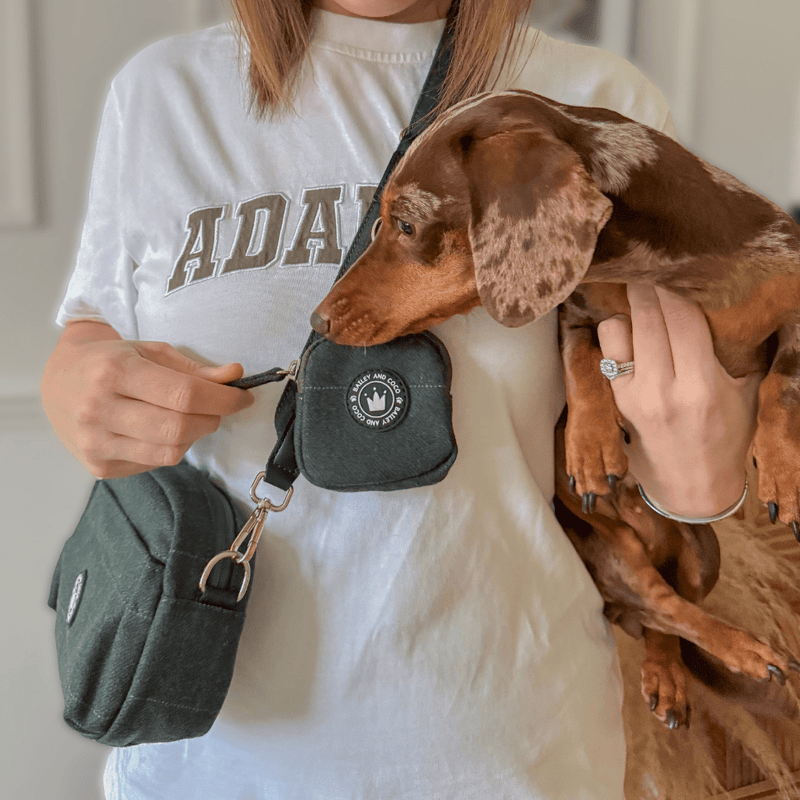 Forest Tweed Adjustable Dog Harness, Lead, Collar & Tweed Dog Walking Bag Bundle - Bailey and Coco (UK)