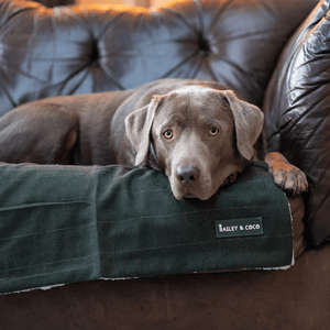 Forest Tweed Dog Blanket - Soft Sherpa Lined - Bailey and Coco (UK)