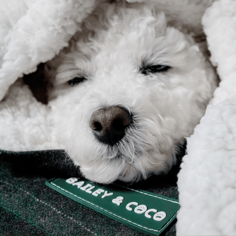 Forest Tweed Dog Blanket - Soft Sherpa Lined - Bailey and Coco (UK)