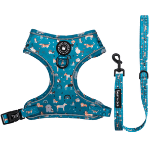 Glow Harness® and Lead Set - A Dog's Tail