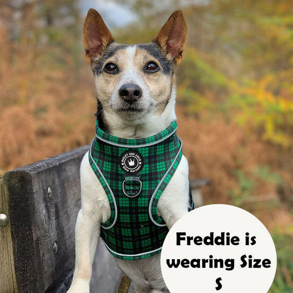 Glow Harness® - Tartan Green - alternate view
