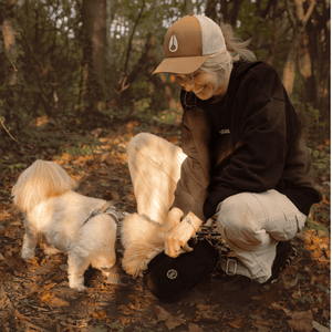 Heritage Plaid Adjustable Dog Harness, Lead, Collar & Black Dog Walking Bag Bundle - Bailey and Coco (UK)