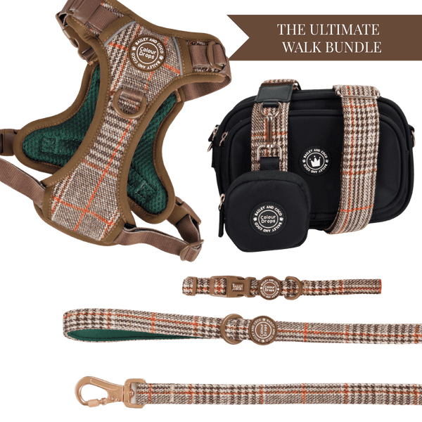 Heritage Plaid Adjustable Dog Harness, Lead, Collar & Black Dog Walking Bag Bundle - Bailey and Coco (UK)