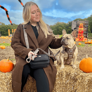 Heritage Plaid Adjustable Dog Harness, Lead, Collar & Black Dog Walking Bag Bundle - Bailey and Coco (UK)