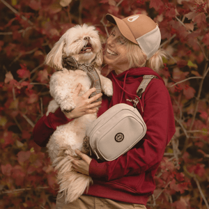 Heritage Plaid Adjustable Dog Harness, Lead, Collar & Latte Dog Walking Bag Bundle - Bailey and Coco (UK)