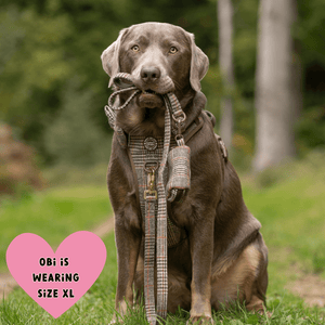 Heritage Plaid Adjustable Dog Harness, Lead, Collar & Latte Dog Walking Bag Bundle - Bailey and Coco (UK)