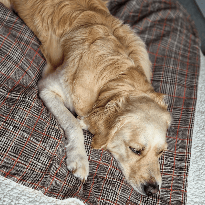 Heritage Plaid Dog Blanket - Soft Sherpa Lined - Bailey and Coco (UK)