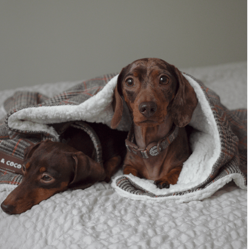 Heritage Plaid Dog Blanket - Soft Sherpa Lined - Bailey and Coco (UK)