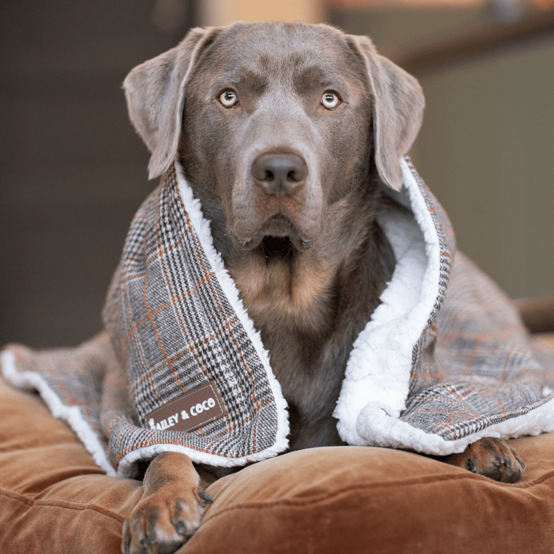 Heritage Plaid Dog Blanket - Soft Sherpa Lined - Bailey and Coco (UK)