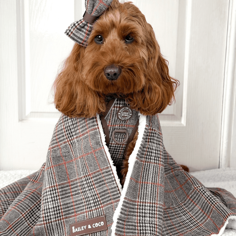 Heritage Plaid Dog Blanket - Soft Sherpa Lined - Bailey and Coco (UK)