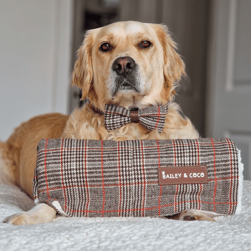 Heritage Plaid Dog Blanket - Soft Sherpa Lined - Bailey and Coco (UK)