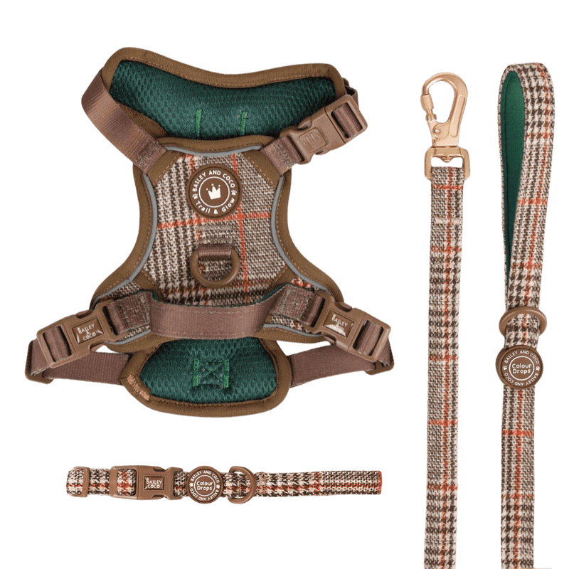 Heritage Plaid Trail & Glow Dog Harness, Lead & Collar Bundle - Bailey and Coco (UK)