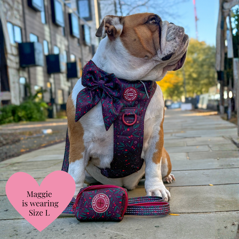 Jingle Berry Adjustable Dog Harness, Lead, Collar & Dog Walking Bag Bundle - Bailey and Coco (UK)