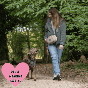 Labrador wearing Bailey & Coco Colour Drops Bewitched dog harness walking with owner carrying beige dog walking bag with matching strap in the UK