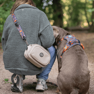 Labrador wearing Bailey & Coco Colour Drops Bewitched dog harness sitting beside owner carrying beige dog walking bag with matching strap during a woodland walk in the UK