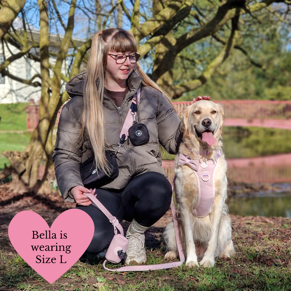 Lavender Tweed Adjustable Dog Harness, Lead, Collar & Dog Walking Bag Bundle - alternate view