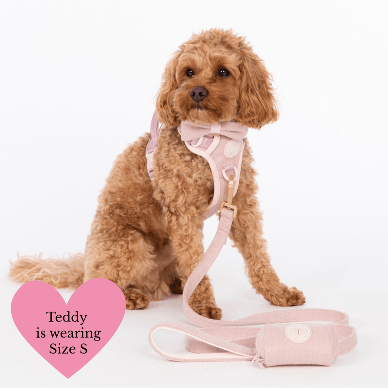 Lavender Tweed Adjustable Dog Harness, Lead, Collar & Latte Dog Walking Bag Bundle - Bailey and Coco (UK)