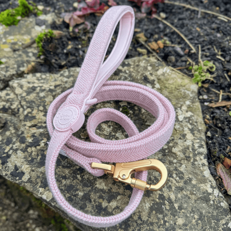 Lavender Tweed Adjustable Dog Harness, Lead, Collar & Latte Dog Walking Bag Bundle - Bailey and Coco (UK)