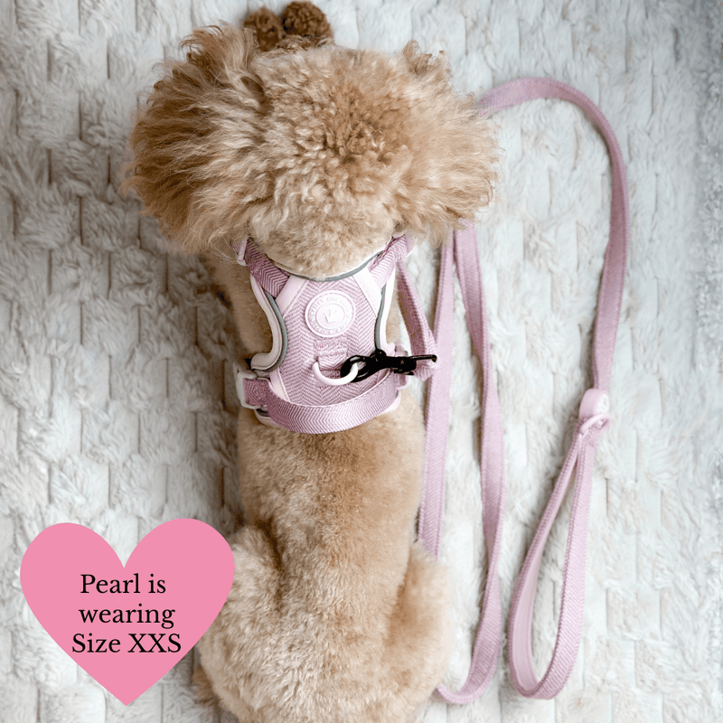 Lavender Tweed Adjustable Dog Harness, Lead, Collar & Latte Dog Walking Bag Bundle - Bailey and Coco (UK)