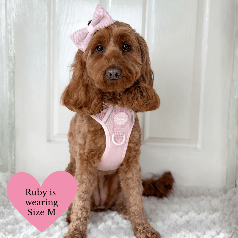 Lavender Tweed Adjustable Dog Harness, Lead, Collar & Latte Dog Walking Bag Bundle - Bailey and Coco (UK)