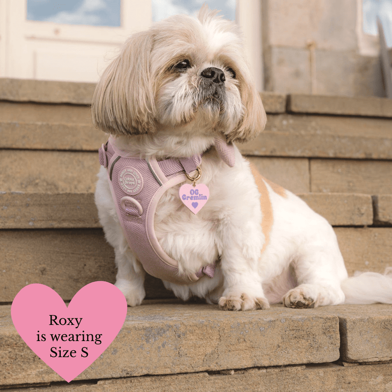 Lavender Tweed Adjustable Dog Harness, Lead, Collar & Latte Dog Walking Bag Bundle - Bailey and Coco (UK)