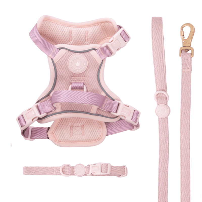 Lavender Tweed Trail & Glow Dog Harness, Lead & Collar Bundle - Bailey and Coco (UK)