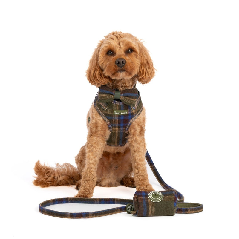 Lightweight Mini Dog Lead 5ft - Colour Drops - Mayfair Tweed - Bailey and Coco (UK)