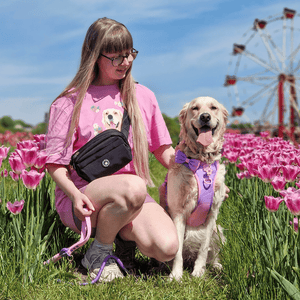 Magnetic Snap Dog Walking Bum Bag - Black - Bailey and Coco (UK)