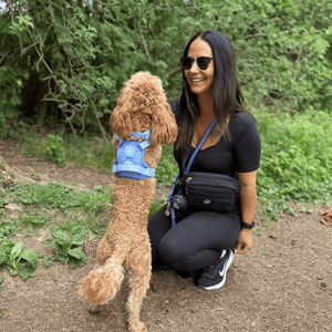 Magnetic Snap Dog Walking Bum Bag - Black - Bailey and Coco (UK)