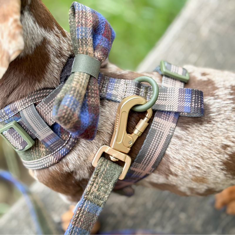 Mayfair Tweed Adjustable Dog Harness, Lead, Collar & Dog Walking Bag Bundle - Bailey and Coco (UK)