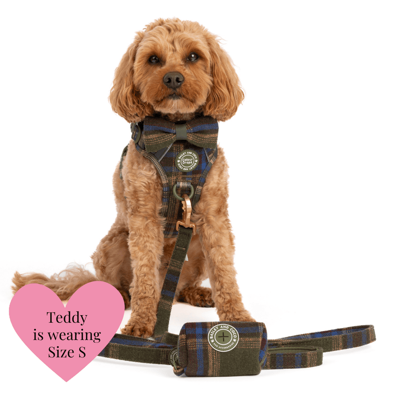 Mayfair Tweed - Colour Drops - Adjustable Dog Harness, Lead, Collar & Mini Black Dog Walking Bag Bundle - Bailey and Coco (UK)